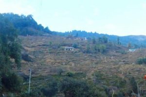 भोजपुरको टेम्केमैयुङ गाउँपालिकाको दुर्गम बस्तीमा विद्युत विस्तार, स्थानीय हर्षित