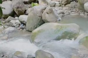 सुनसरीमा खोलाले मोटरसाइकल बगाउँदा श्रीमान बेपत्ता, श्रीमती घाइते