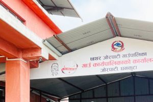 अस्थायी र करारका कर्मचारी हटाउने निर्णय तत्काल फिर्ता लिन आग्रह