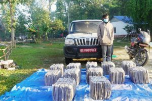 सुनसरीको इनरुवाबाट डेढ क्विन्टल गाँजासहित युवक पक्राउ