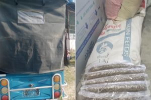 इटहरीबाट ९८ किलो गाँजासहित महिला पुरुष पक्राउ