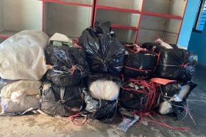 धरानबाट २६८ किलो गाँजा बरामद, भरियाहरू फरार