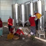 धनकुटाका दुर्गामणि पौडेल : दुई दशकपछि गाउँ फर्किएर खोले वाइन उद्योग