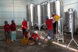 धनकुटाका दुर्गामणि पौडेल : दुई दशकपछि गाउँ फर्किएर खोले वाइन उद्योग