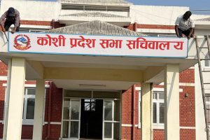 कटहरीको तरकारी बजारमा सर्याे कोशी प्रदेश सभा 