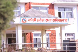 कटहरीको तरकारी बजारमा कोशी प्रदेश सभा सरेसँगै स्थानीय उत्साहित