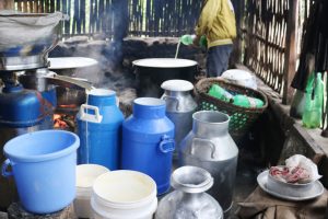 धनकुटामा डेरी उद्योगको लहर, कृषकहरू उत्साहित
