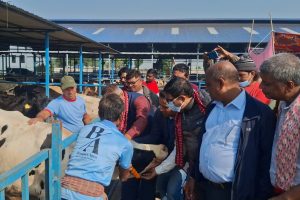 कोशी प्रदेश खोरेतमुक्त अभियान : निःशुल्क खोप कार्यक्रम सुरु