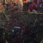 मोरङको सुन्दरहरैँचामा हात्तीको आक्रमणबाट घिमिरेको मृत्यु