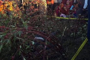 मोरङको सुन्दरहरैँचामा हात्तीको आक्रमणबाट घिमिरेको मृत्यु