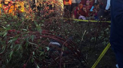 मोरङको सुन्दरहरैँचामा हात्तीको आक्रमणबाट घिमिरेको मृत्यु