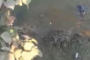 बुढीगंगाको तेल फ्याक्ट्रीमा काम गर्ने मजदुरको शव बुढीखोलामा फेला