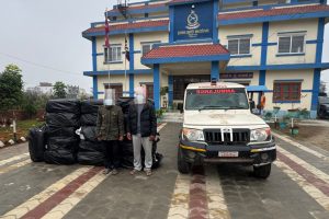 केराबारीमा गाँजा बोकेको एम्बुलेन्स नियन्त्रणमा लिन हवाई फायर, धनकुटाका दुई जना पक्राउ