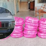 धरानको ग्यारेजबाट १४९ किलो गाँजा बरामद, धनकुटाका दुईसहित तीन जना पक्राउ