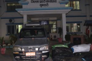 सुनसरीमा स्कारपियो भित्र भेटियो ४६० किलो गाँजा, चालक फरार