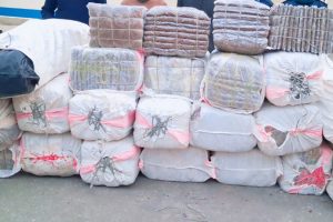 मोरङको रतुवामाईबाट ६७८ किलो गाँजासहित धनकुटाका दुई जना पक्राउ