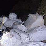 मोरङको रंगेलीबाट नौ क्विन्टल बढी गाँजा बरामद