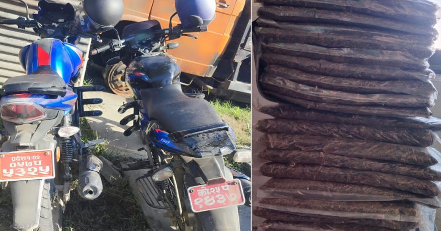 सुनसरीबाट ११० किलो गाँजा बरामद, धनकुटाका दुई जना पक्राउ