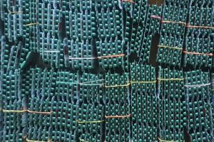 प्रतिबन्धित औषधिसहित धनकुटा र विराटनगरबाट ६ जना पक्राउ