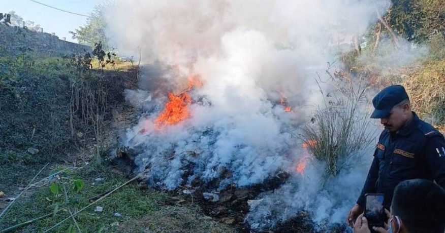 विराटनगरमा जलाइयो तीन हजार किलो गाँजा
