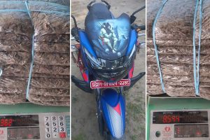 सुनसरीमा दुर्घटनामा परेको मोटरसाइकलबाट गाँजा बरामद, दुई जना पक्राउ