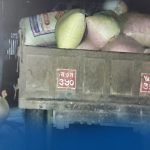 भोजपुरमा ट्याक्टरबाट ८२६ किलो गाँजा बरामद, धनकुटाका ५ सहित ९ जना पक्राउ