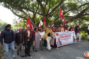 कोशी प्रदेशमा ५०५ जनाको उम्मेदवारी दर्ता, कुन क्षेत्रमा कति उम्मेदवार ?