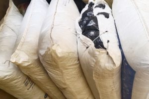 उदयपुरबाट १४३ किलो गाँजा बरामद, दुई नाबालकसहित तीन जना पक्राउ