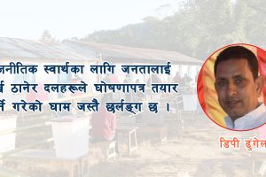 घोषणापत्र कि जनता झुक्याउने कागज ?