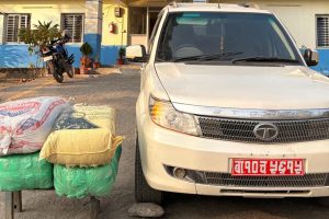 नेपाली नम्बर प्लेट राखेर गाँजा बोकेको भारतीय कार धनकुटा प्रहरीको नियन्त्रणमा