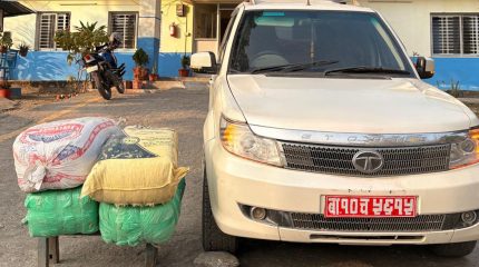 नेपाली नम्बर प्लेट राखेर गाँजा बोकेको भारतीय कार धनकुटा प्रहरीको नियन्त्रणमा