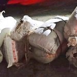 धनकुटाबाट २०५ किलो गाँजासहित दुईजना पक्राउ