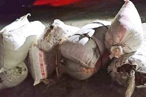 धनकुटाबाट २०५ किलो गाँजासहित दुईजना पक्राउ