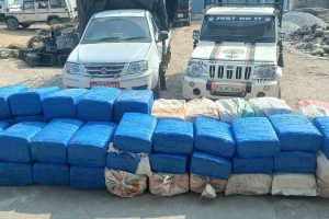 धरानबाट ९५५ किलो गाँजासहित दुई वटा गाडी नियन्त्रणमा, दुई जना पक्राउ