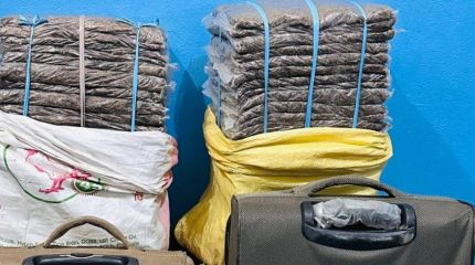 धरानबाट ८७ किलो गाँजासहित दुई जना पक्राउ