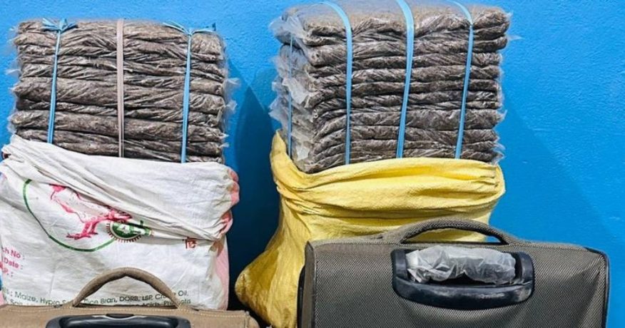 धरानबाट ८७ किलो गाँजासहित दुई जना पक्राउ