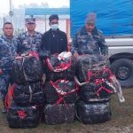 मोरङको जहदाबाट २७५ किलो गाँजासहित एक जना पक्राउ