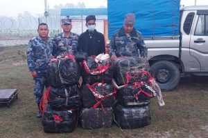 मोरङको जहदाबाट २७५ किलो गाँजासहित एक जना पक्राउ