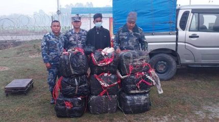 मोरङको जहदाबाट २७५ किलो गाँजासहित एक जना पक्राउ