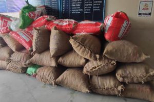 विराटनगरबाट ९६० किलो हल्दी र २९७ किलो मरीच बरामद