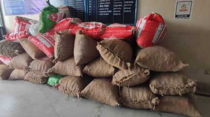 विराटनगरबाट ९६० किलो हल्दी र २९७ किलो मरीच बरामद