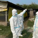 मोरङका चार स्थानीय तहमा बर्डफ्लु : पंक्षीजन्य वस्तुको ओसार-पसारमा प्रतिबन्ध