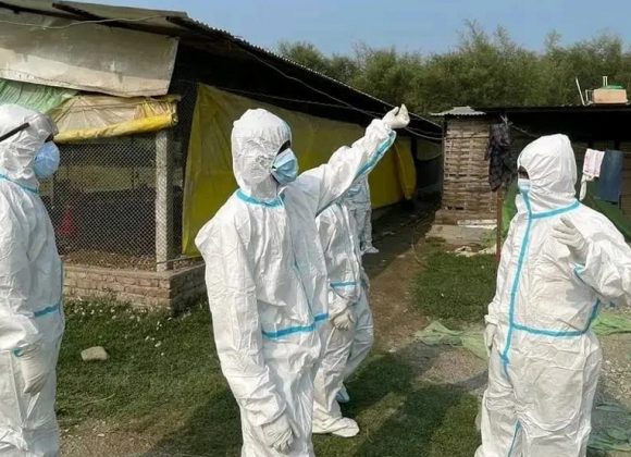 मोरङका चार स्थानीय तहमा बर्डफ्लु : पंक्षीजन्य वस्तुको ओसार-पसारमा प्रतिबन्ध