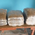 धरानबाट गाँजासहित संखुवासभाका सन्दिप पक्राउ