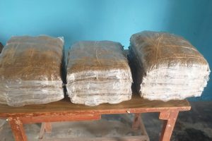 धरानबाट गाँजासहित संखुवासभाका सन्दिप पक्राउ