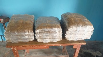 धरानबाट गाँजासहित संखुवासभाका सन्दिप पक्राउ