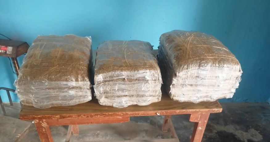 धरानबाट गाँजासहित संखुवासभाका सन्दिप पक्राउ