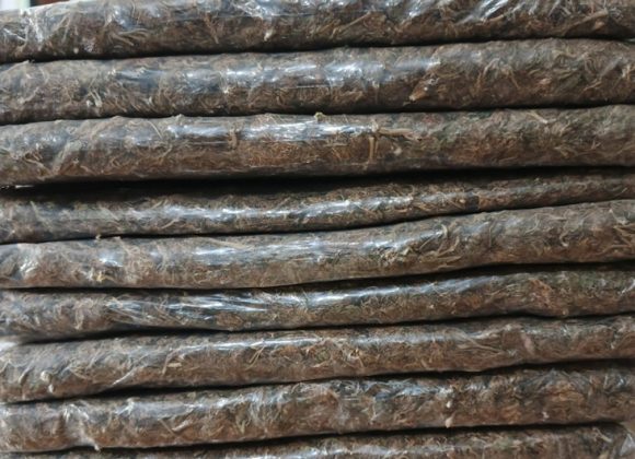 विराटनगरबाट गाँजासहित दुई जना पक्राउ