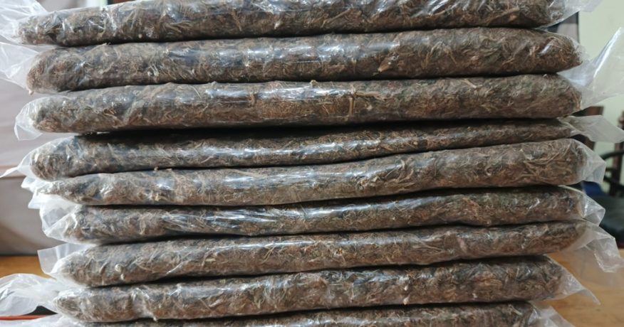 विराटनगरबाट गाँजासहित दुई जना पक्राउ