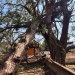 आज पनि देशका विभिन्न स्थानमा हावाहुरी र चट्याङको सम्भावना